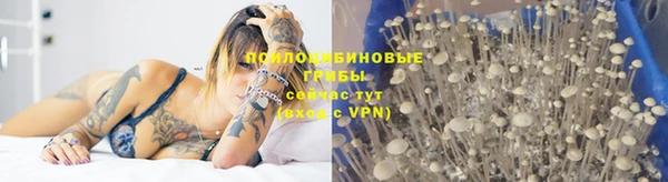 марки nbome Дмитров