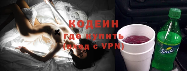индика Дмитриев