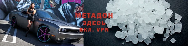 индика Дмитриев