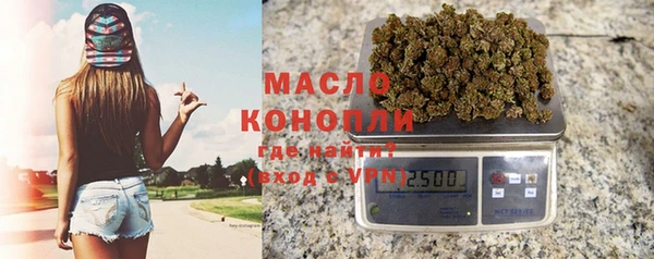 индика Дмитриев
