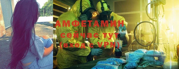 индика Дмитриев