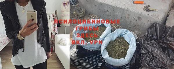 индика Дмитриев