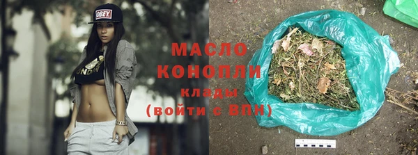индика Дмитриев