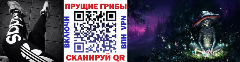 Галлюциногенные грибы MAGIC MUSHROOMS  Вольск 